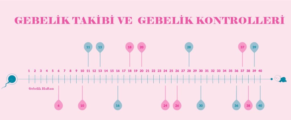 gebelik takibi ne zaman