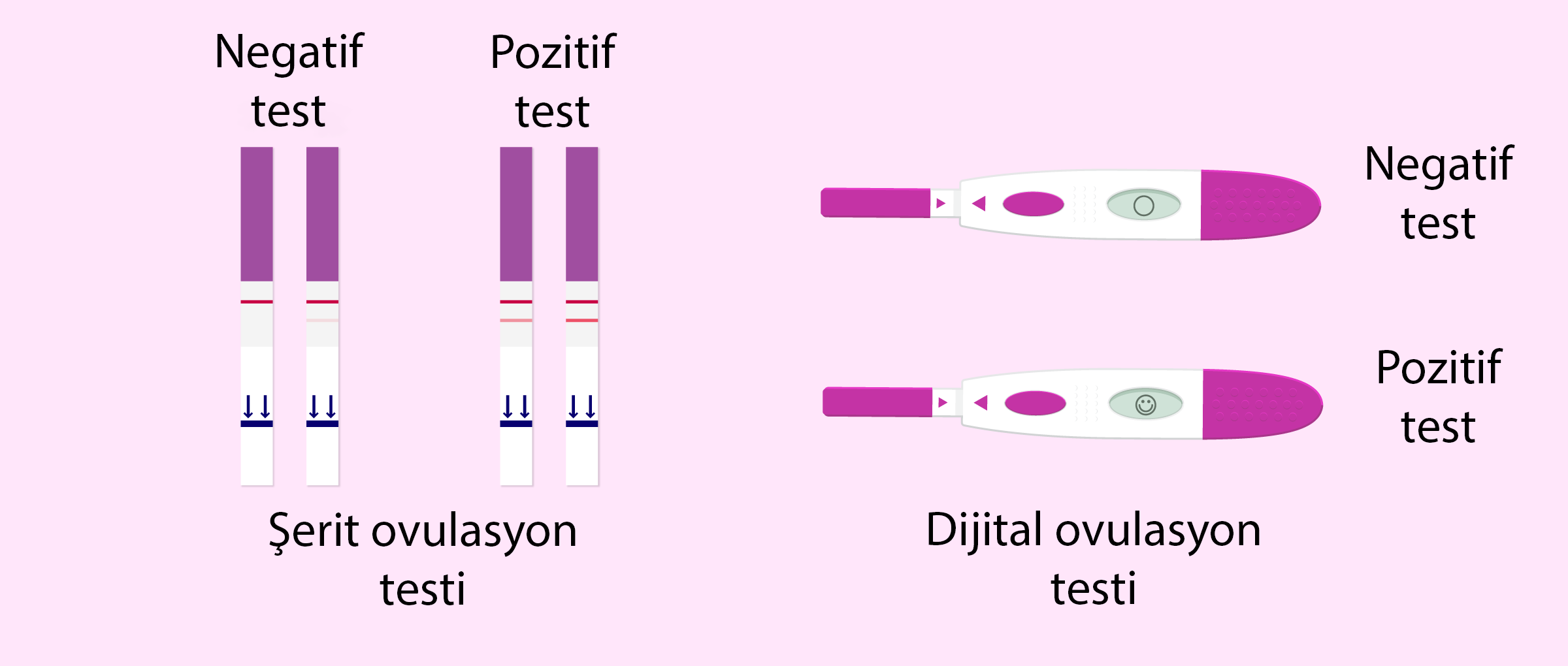 ovulasyon-testi-ne-zaman-yapabilirim-yumurtlama-testi-nas-l-al-r